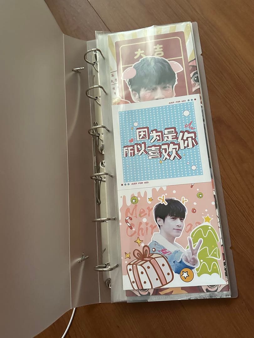 羅雲熙　罗云熙　レオロー　手幅ポスター　手幅バインダー セット
