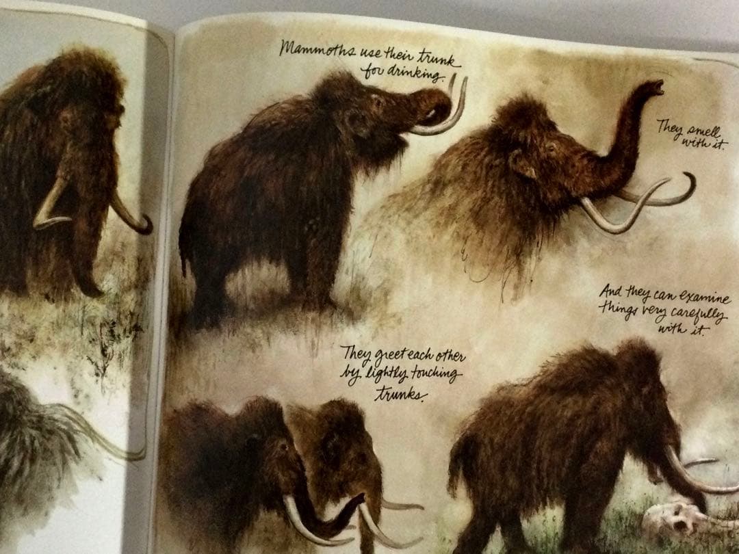 Journey to the Ice Age マンモスとその他の野生の動物