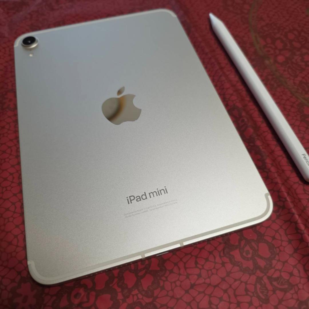 極美品☆AppleiPadmini ・WiFi + Cellularモデル