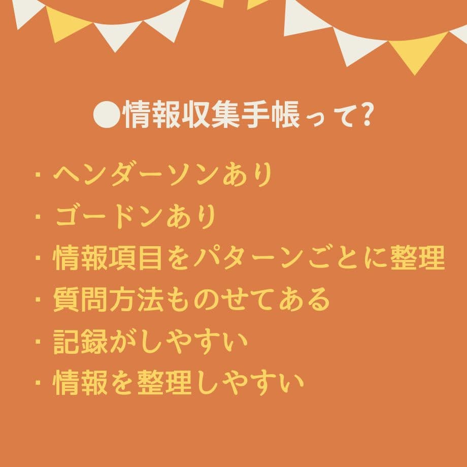 【アセスメントも！個別性も！】看護実習まるごとセット★実習メモ★計画★目標など