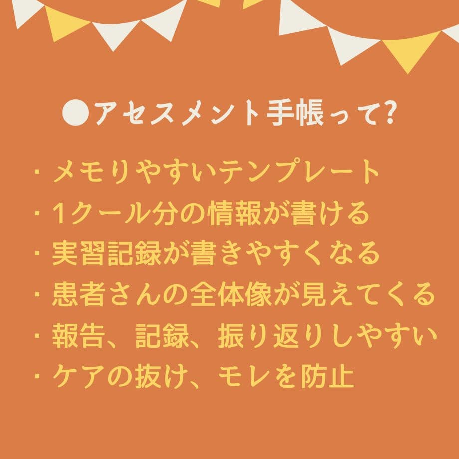 【アセスメントも！個別性も！】看護実習まるごとセット★実習メモ★計画★目標など