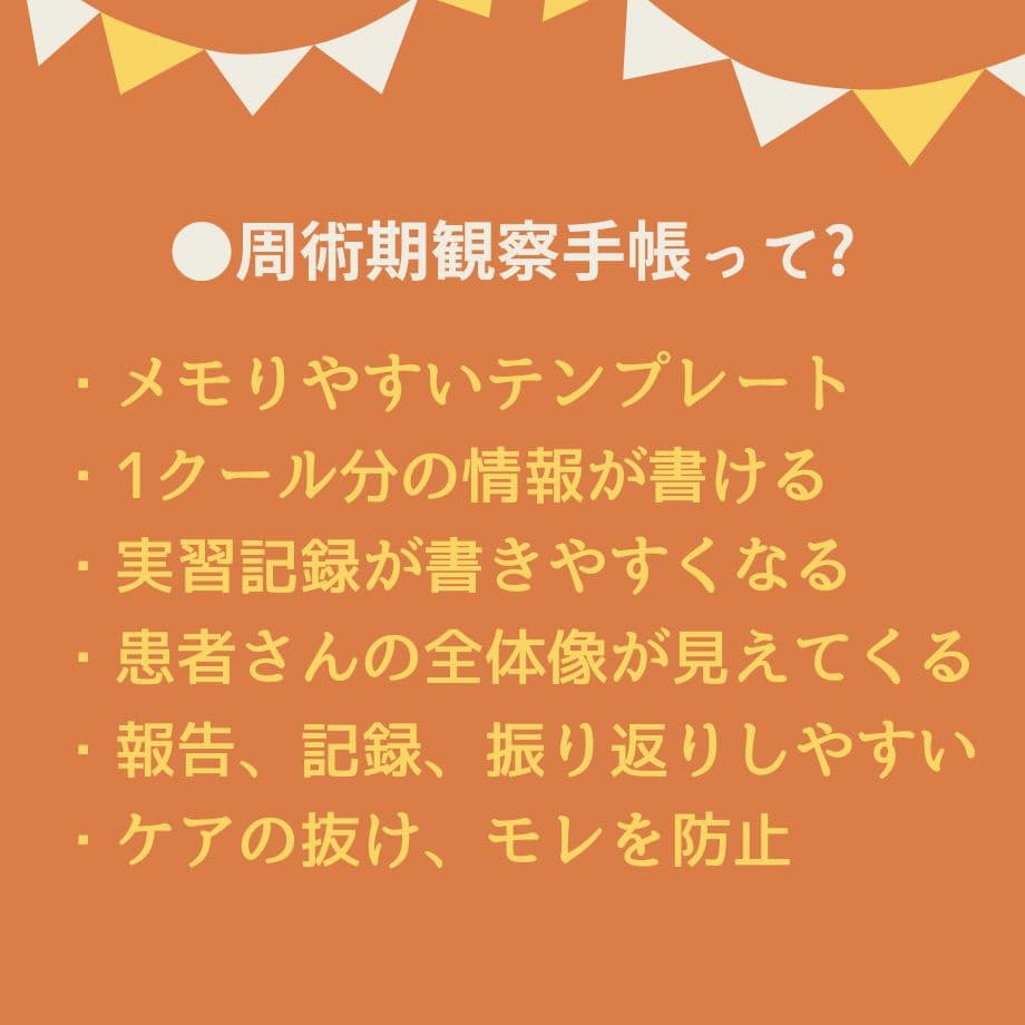 【アセスメントも！個別性も！】看護実習まるごとセット★実習メモ★計画★目標など