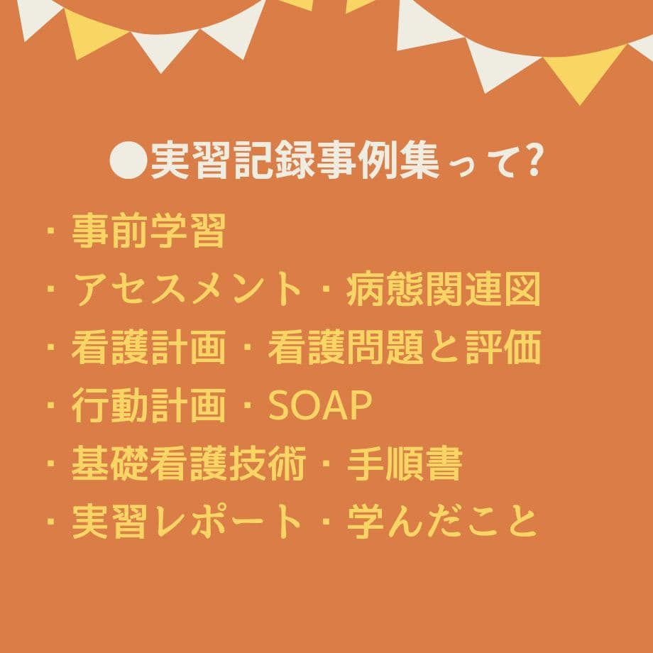 【アセスメントも！個別性も！】看護実習まるごとセット★実習メモ★計画★目標など