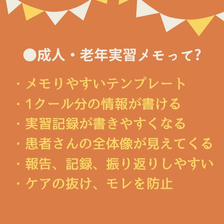 【アセスメントも！個別性も！】看護実習まるごとセット★実習メモ★計画★目標など