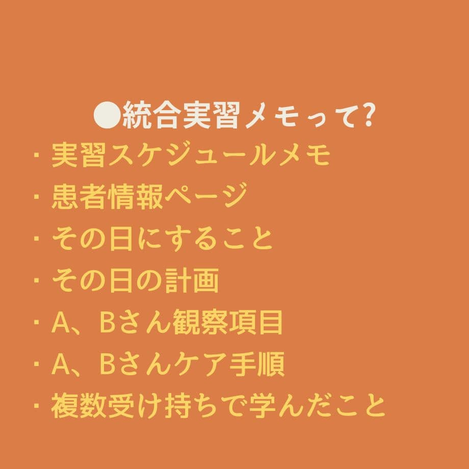 【アセスメントも！個別性も！】看護実習まるごとセット★実習メモ★計画★目標など