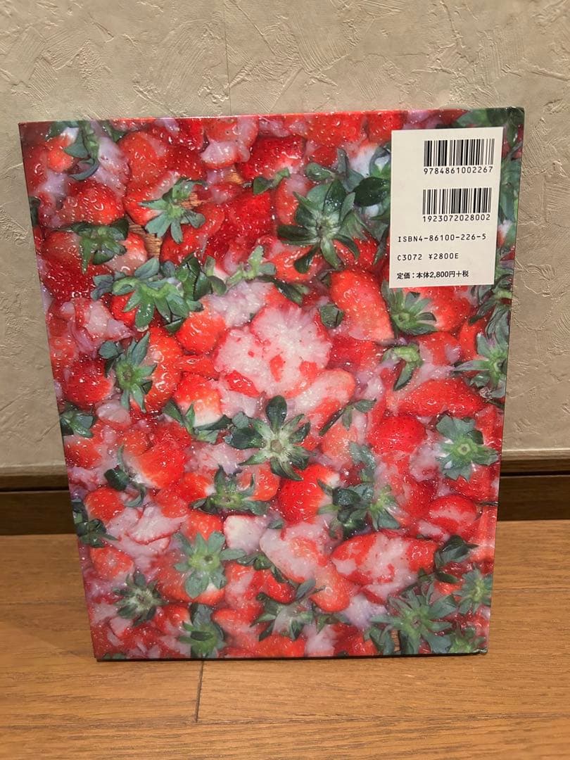 ＭＡＤＳＡＫＩ／Ｊｕｎ　Ｔａｋａｈａｓｈｉ GAS BOOK１９　アンダーカバー