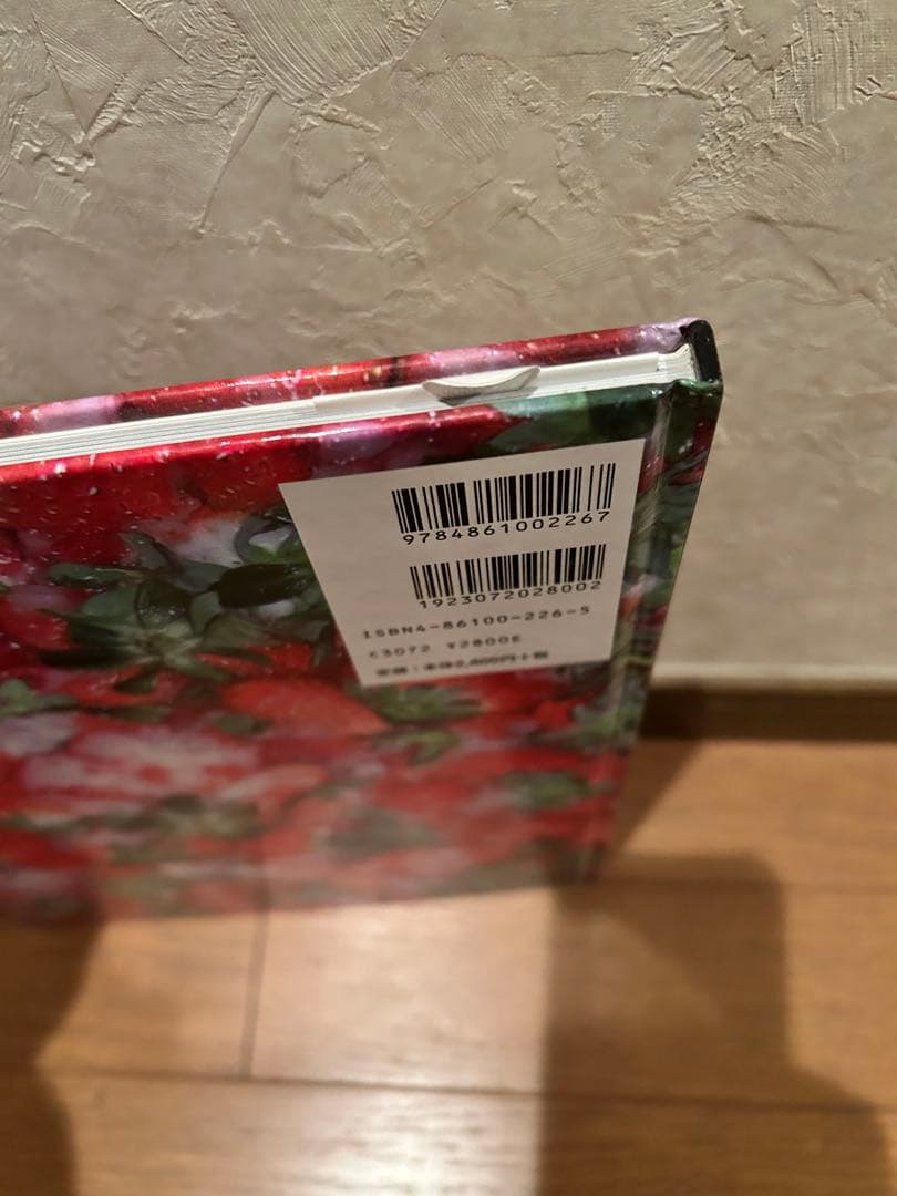 ＭＡＤＳＡＫＩ／Ｊｕｎ　Ｔａｋａｈａｓｈｉ GAS BOOK１９　アンダーカバー