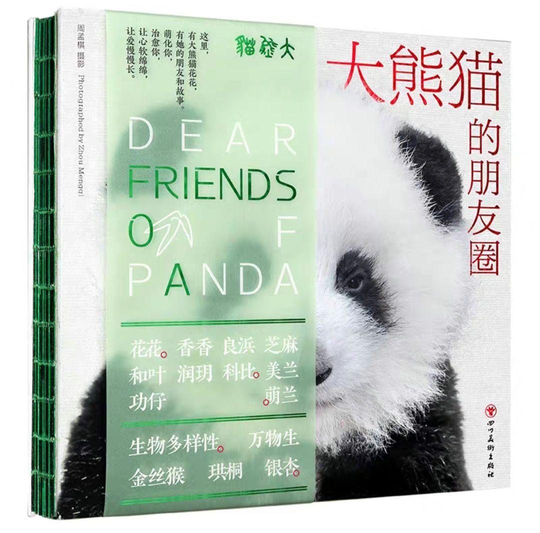 【レア品！新品・未使用品】和花ちゃん視点の限定品写真集「大熊猫的朋友圏」