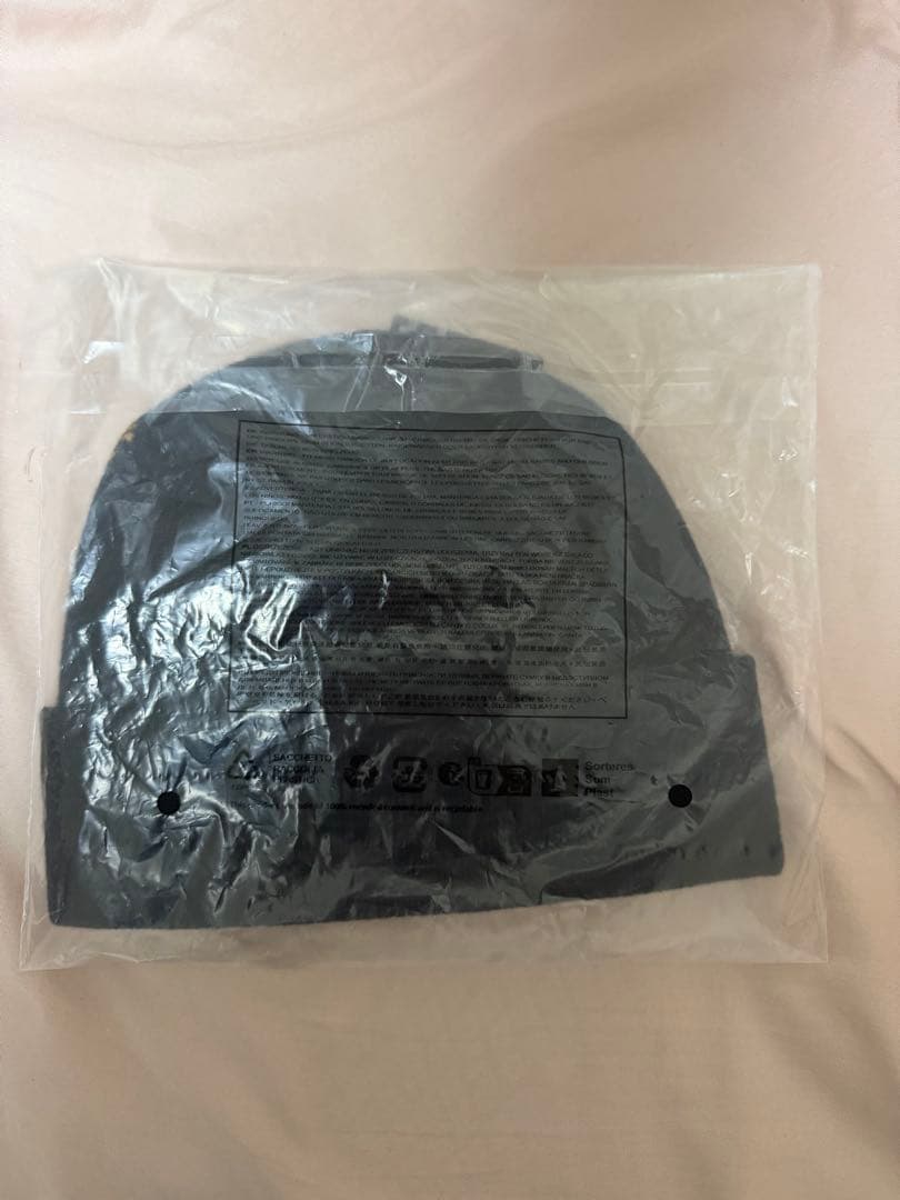 【新品未使用】ARC’TERYX Bird Word Toque ビーニー