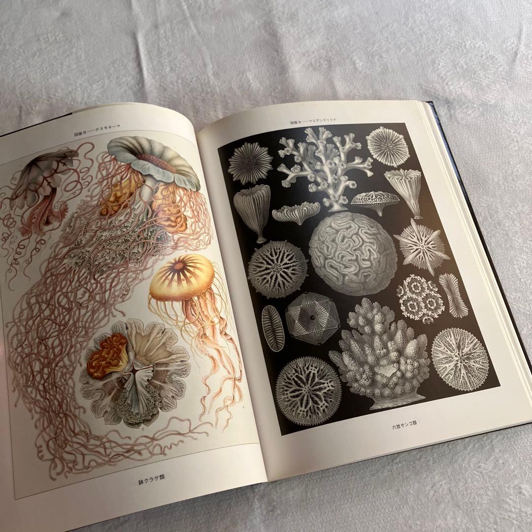 エルンスト ヘッケル art forms in nature