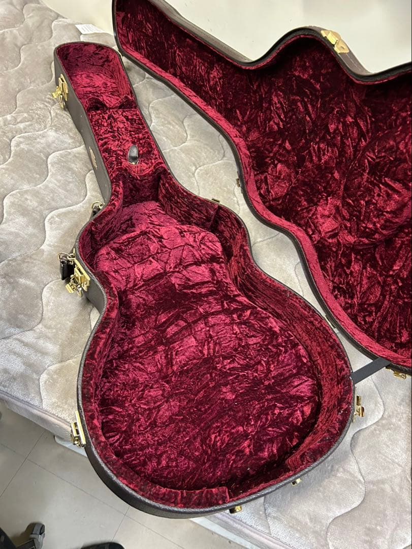 [希少品付き] 2012年製 Taylor T5 S1