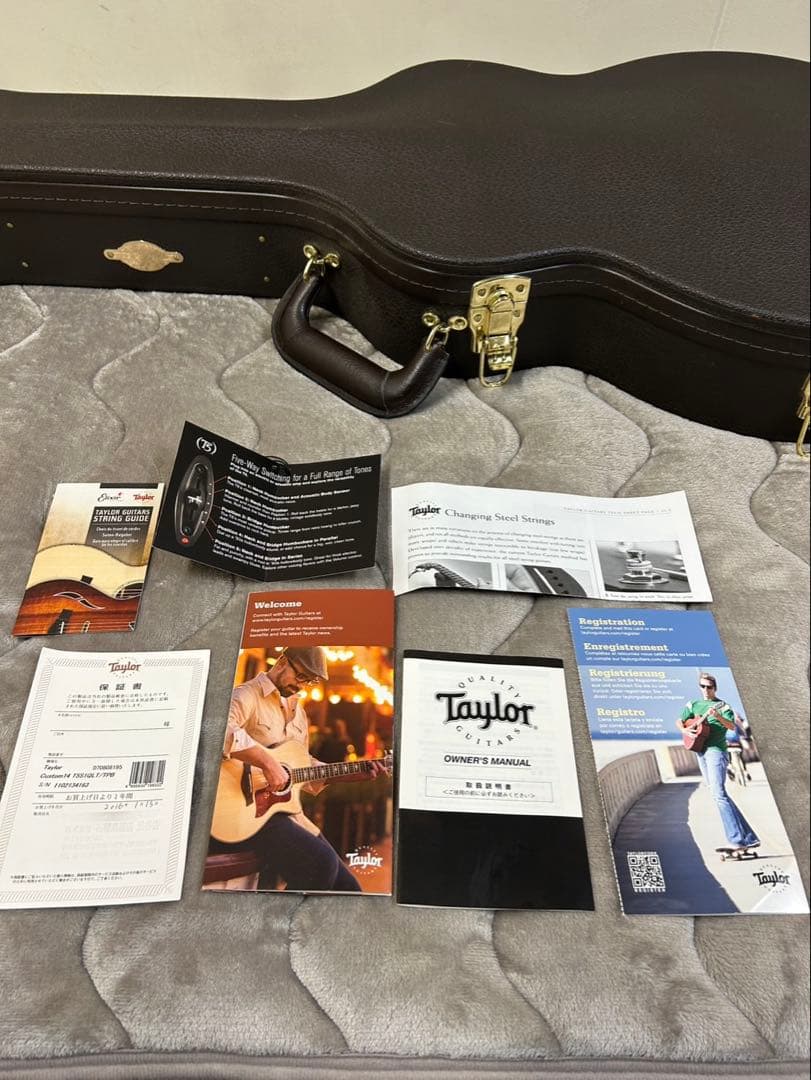 [希少品付き] 2012年製 Taylor T5 S1