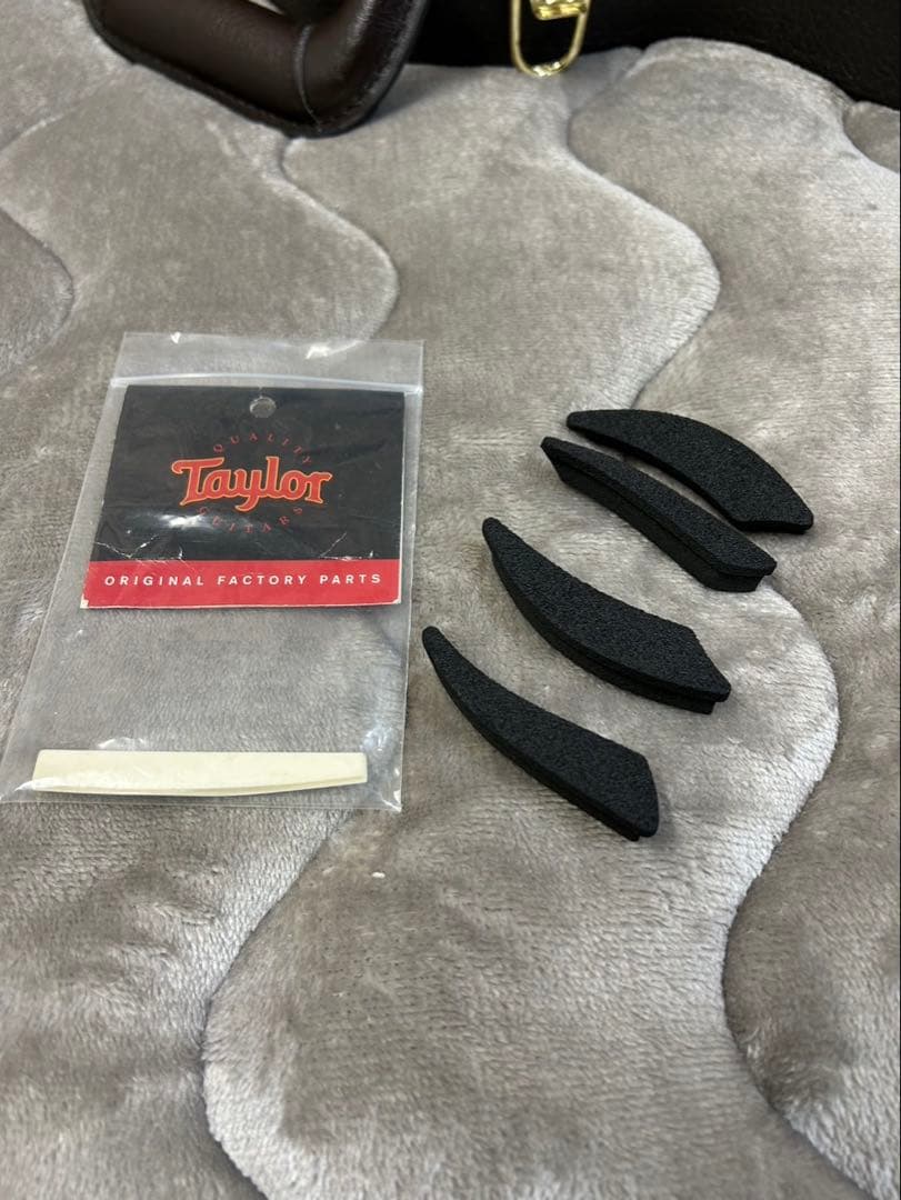 [希少品付き] 2012年製 Taylor T5 S1