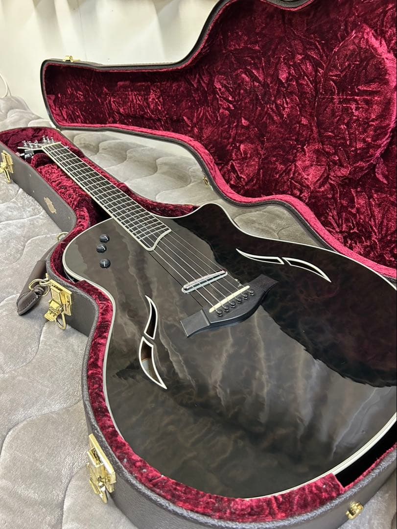 [希少品付き] 2012年製 Taylor T5 S1