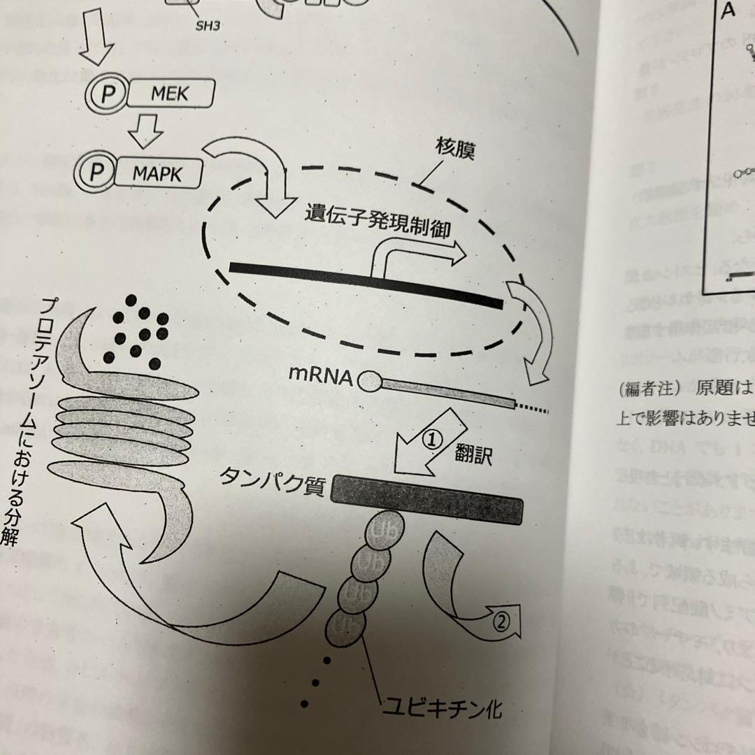 河合塾kals2025実践シリーズ　ワークブック