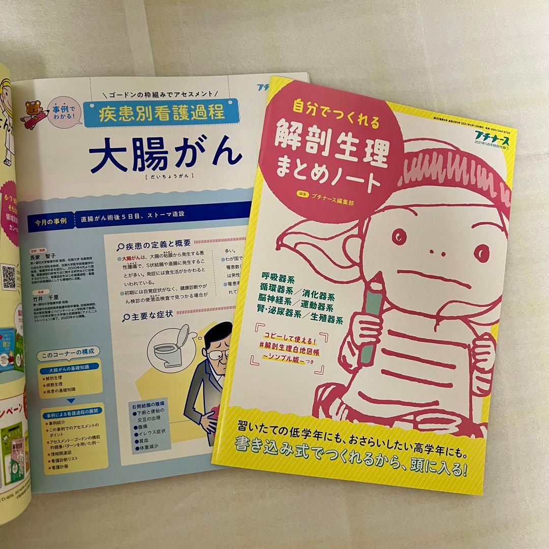 看護学生！！　参考書　本　プチナース　解剖生理　薬理学　実習　疾患　病態　関連図