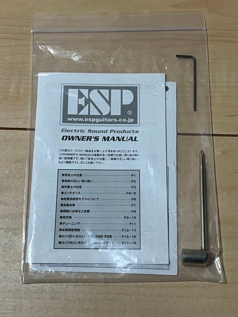 EDWARDS E-J-140 Fire Red LUNA SEA Jモデル