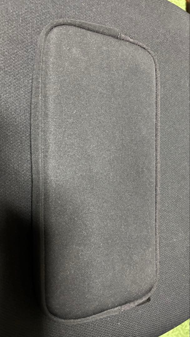 pomera(ポメラ) DM250【美品】ケース付き