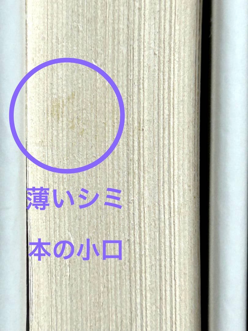 ルアン先生はへこたれない　LouAnne Johnson ルアン・ジョンソン