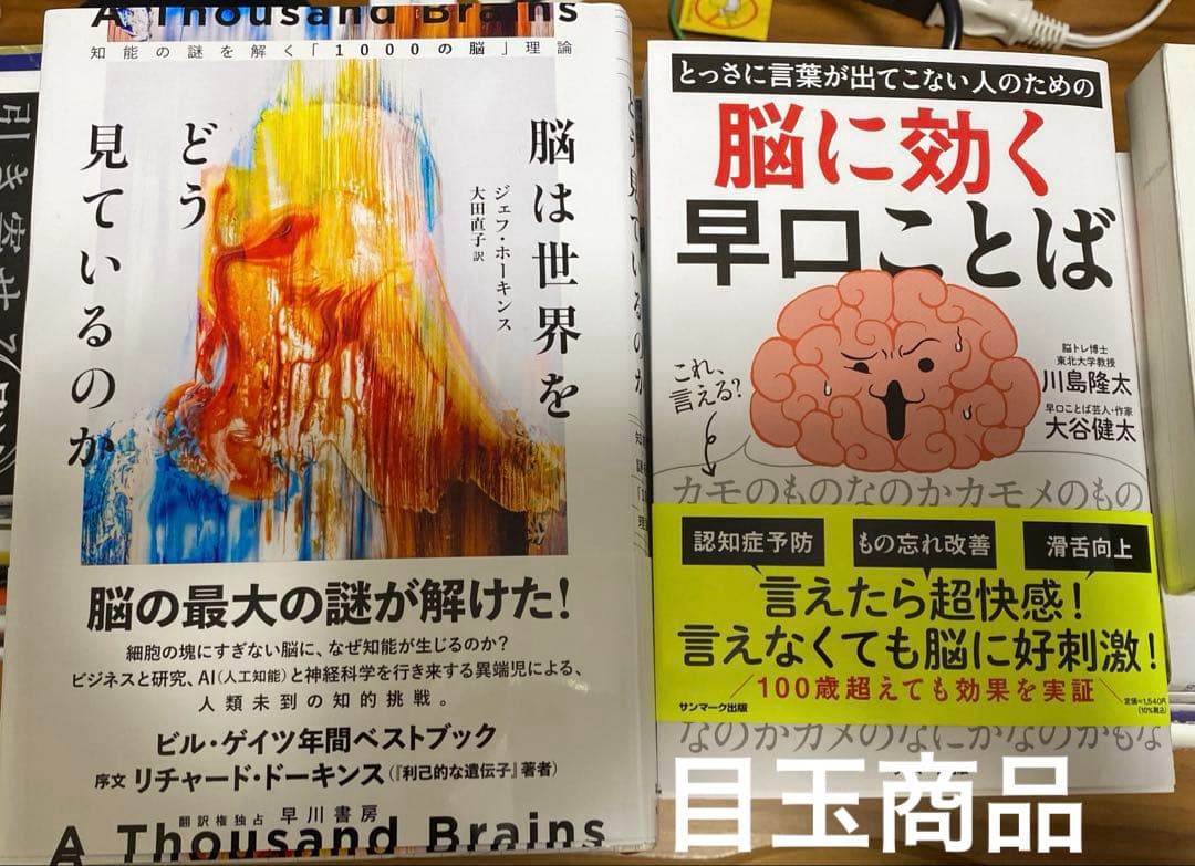 【まとめ売り48冊　目玉商品あり】自己啓発、脳、思考、記憶術、勉強法、時間術