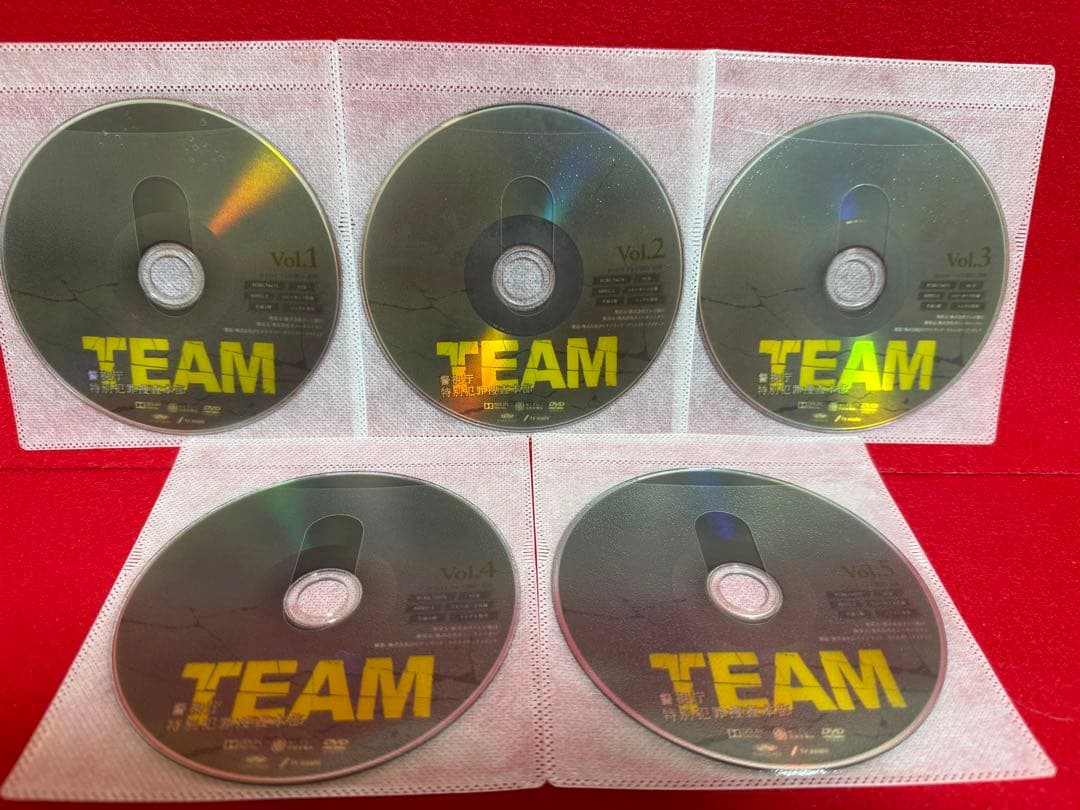 【ドラマ・DVD】TEAM -警視庁特別犯罪捜査本部-全巻セット(全5巻・完結)