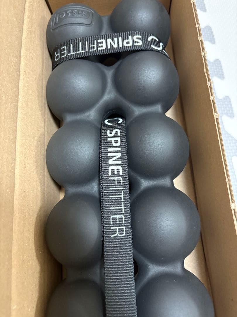 エクササイズグッズ SPINEFITTER by SISSEL