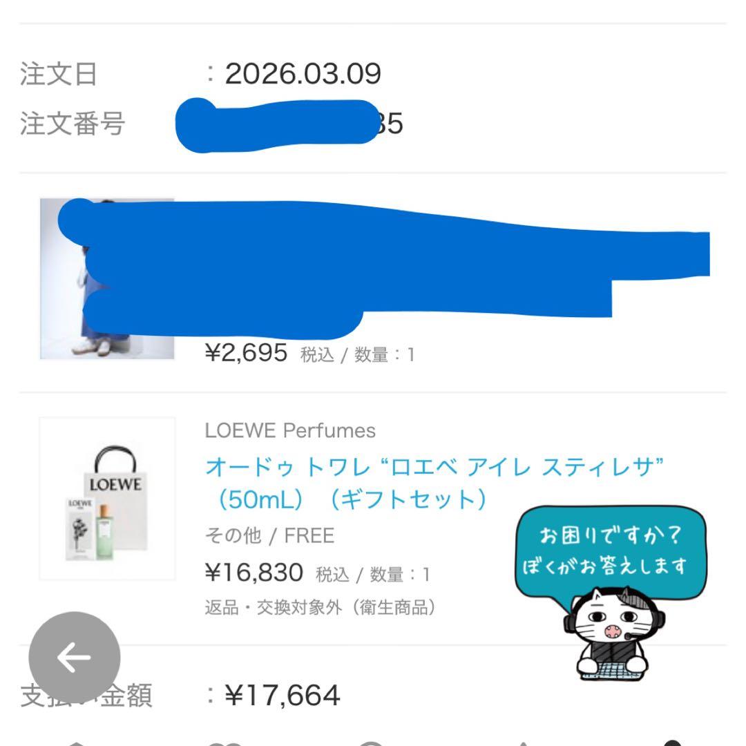 最終値下げ‼️国内正規品　ロエベ オードゥトワレ アイレ スティレサ 50mL