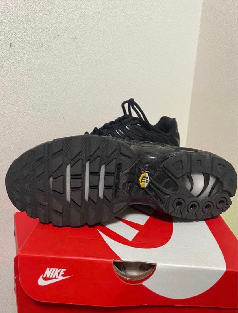 チ*☆様 Nike Air Max Plus