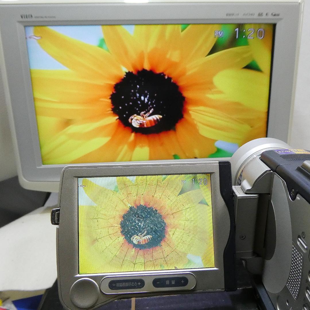 動作品 ソニーDCR-TRV30 MiniDV ビデオカメラDVDダビングに最適