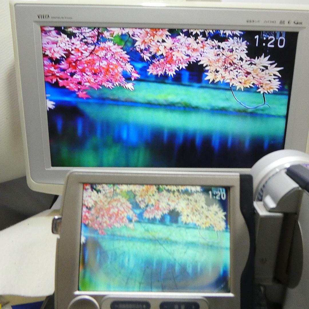 動作品 ソニーDCR-TRV30 MiniDV ビデオカメラDVDダビングに最適