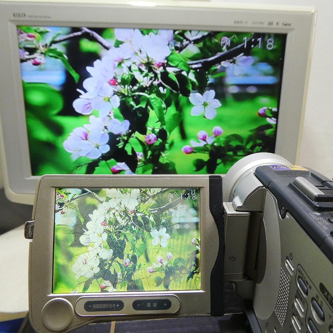 動作品 ソニーDCR-TRV30 MiniDV ビデオカメラDVDダビングに最適