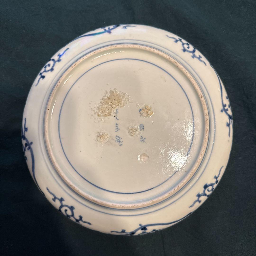 古伊万里　染付牡丹唐草文皿　7寸　無傷完品