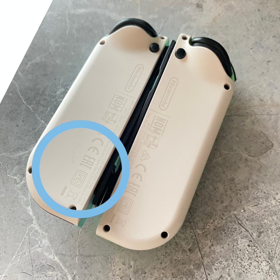 フ*物様 Nintendo Switch あつまれ どうぶつの森　セット