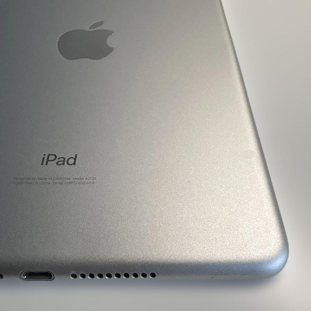 iPad mini5 セルラー 64GB SIMフリー　(73)