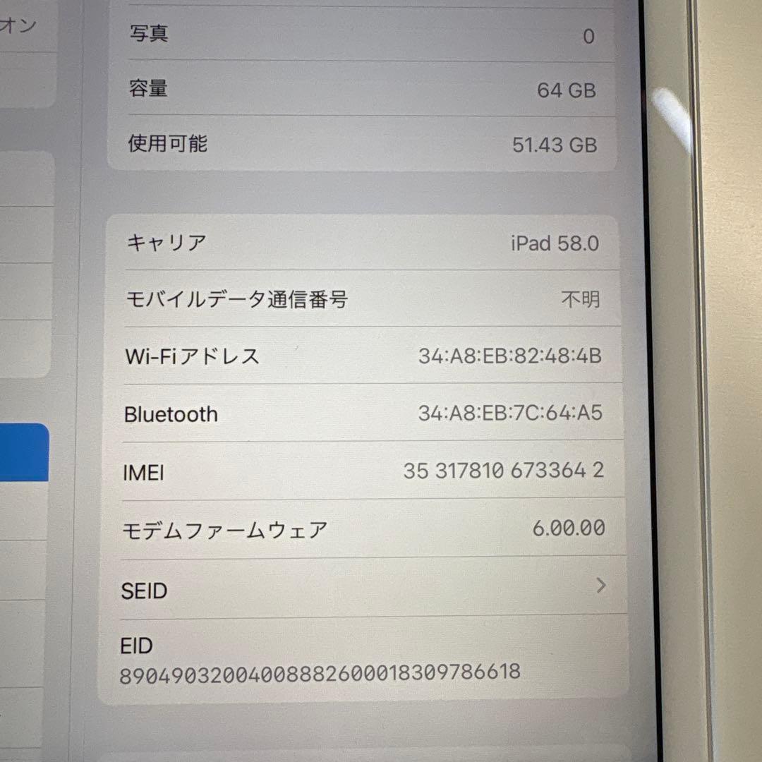 iPad mini5 セルラー 64GB SIMフリー　(73)