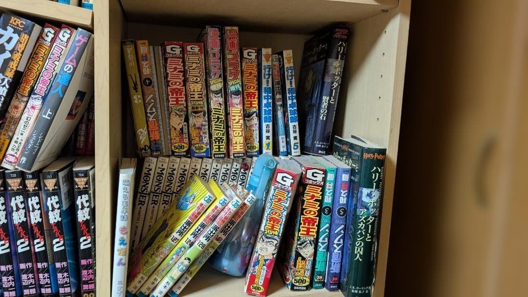 漫画：小説など約500冊