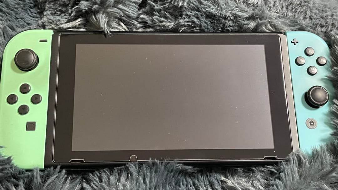 Nintendo Switch(SDカードおまけ)