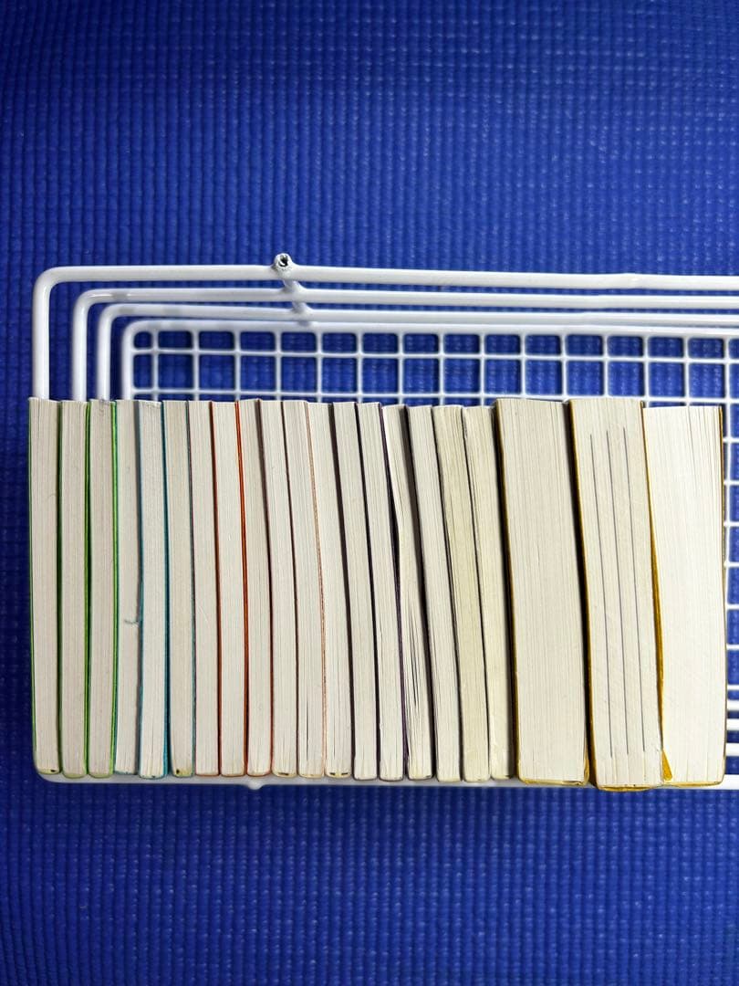希少・MY FILIP BOOK 全21冊セット(両面刷り) 42種類　器械体操