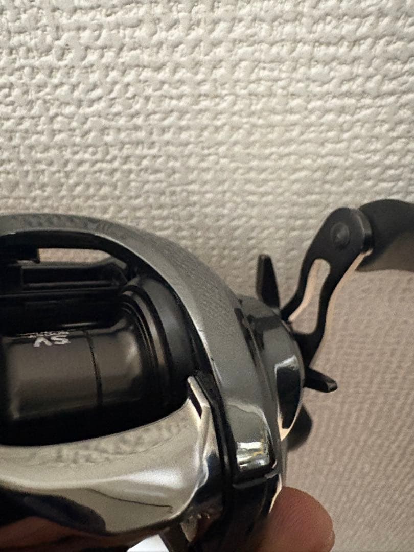 DAIWA 24スティーズ SV TW 100XH