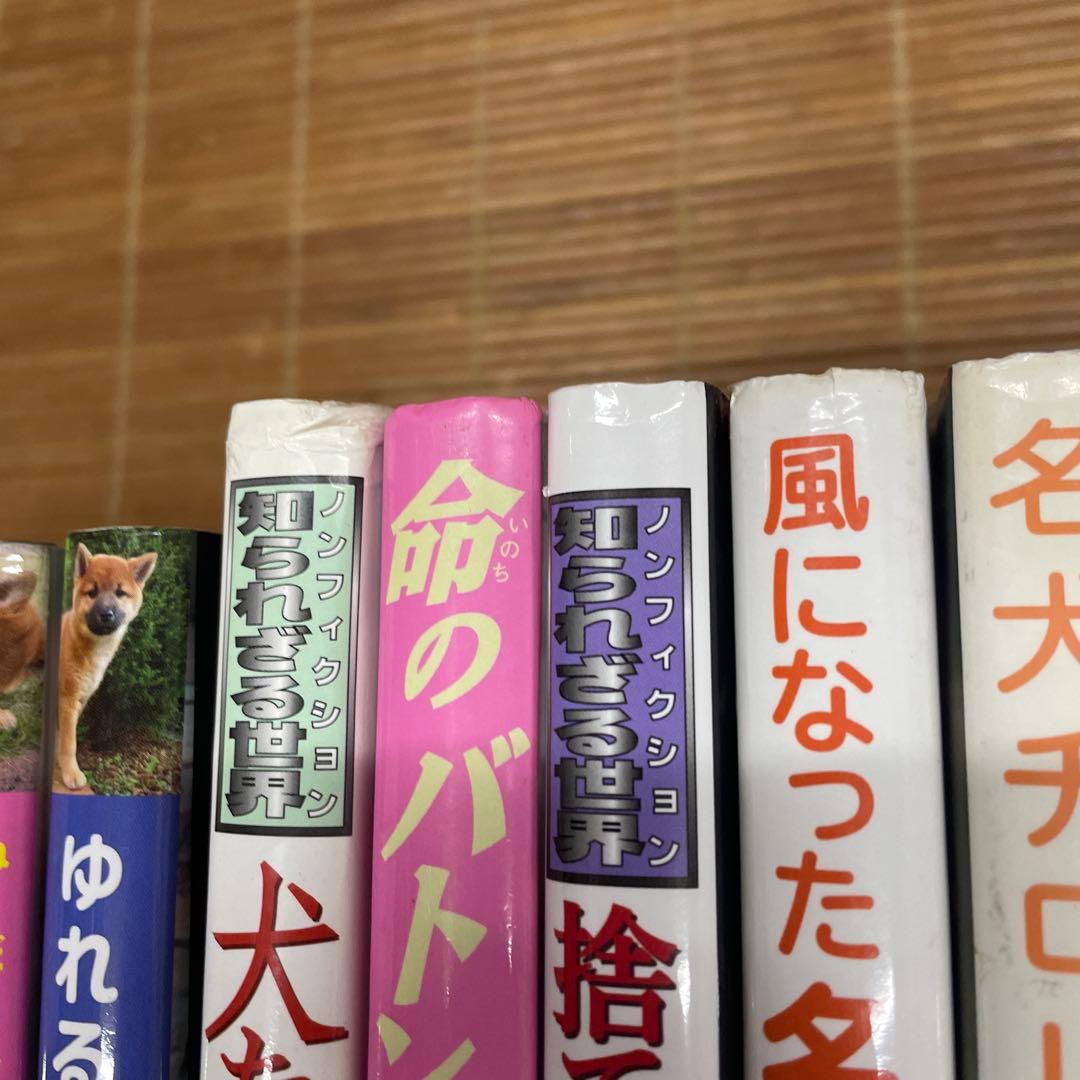 低学年〜中学年★21冊 児童書 課題図書 推薦図書など まとめ売り ⑱犬 盲導犬