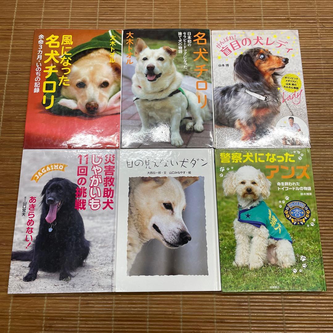 低学年〜中学年★21冊 児童書 課題図書 推薦図書など まとめ売り ⑱犬 盲導犬