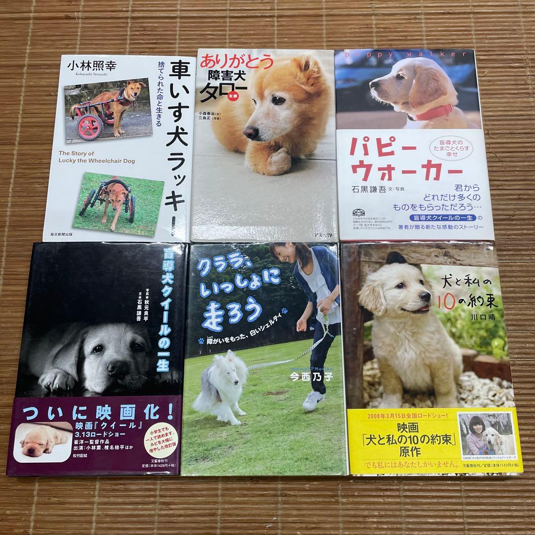 低学年〜中学年★21冊 児童書 課題図書 推薦図書など まとめ売り ⑱犬 盲導犬