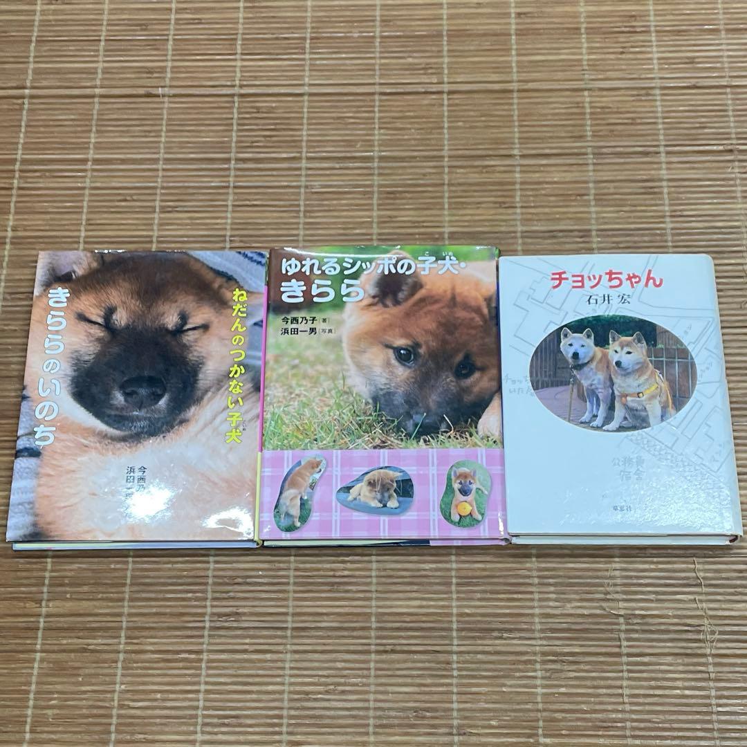 低学年〜中学年★21冊 児童書 課題図書 推薦図書など まとめ売り ⑱犬 盲導犬