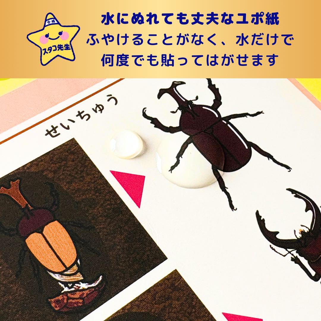 小学校受験　季節　季節カード (ミシン目あり) お風呂ポスター　季節のお勉強