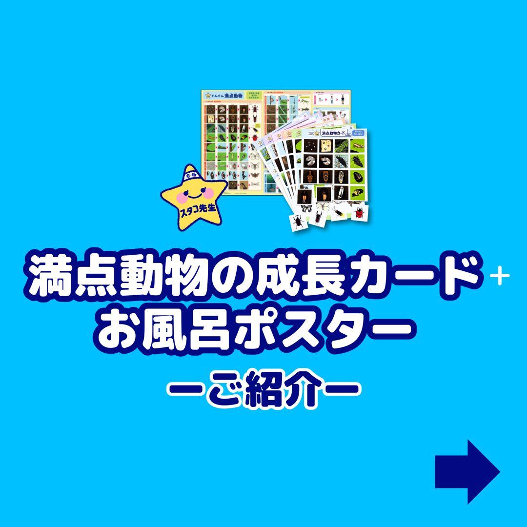 小学校受験　季節　季節カード (ミシン目あり) お風呂ポスター　季節のお勉強