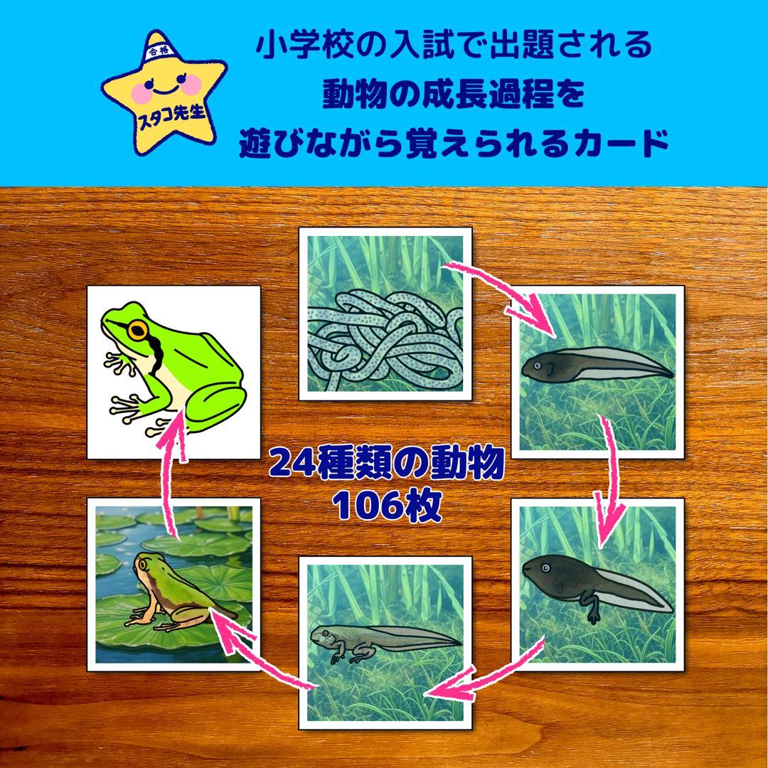小学校受験　季節　季節カード (ミシン目あり) お風呂ポスター　季節のお勉強