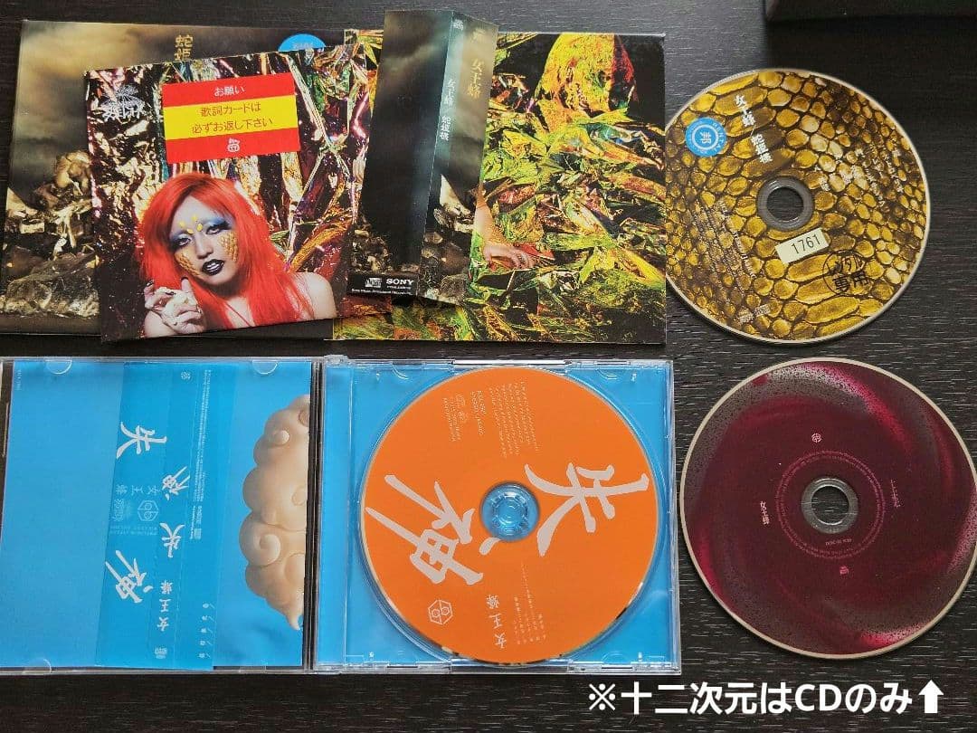 女王蜂 ライブツアーCD・DVD11点セット