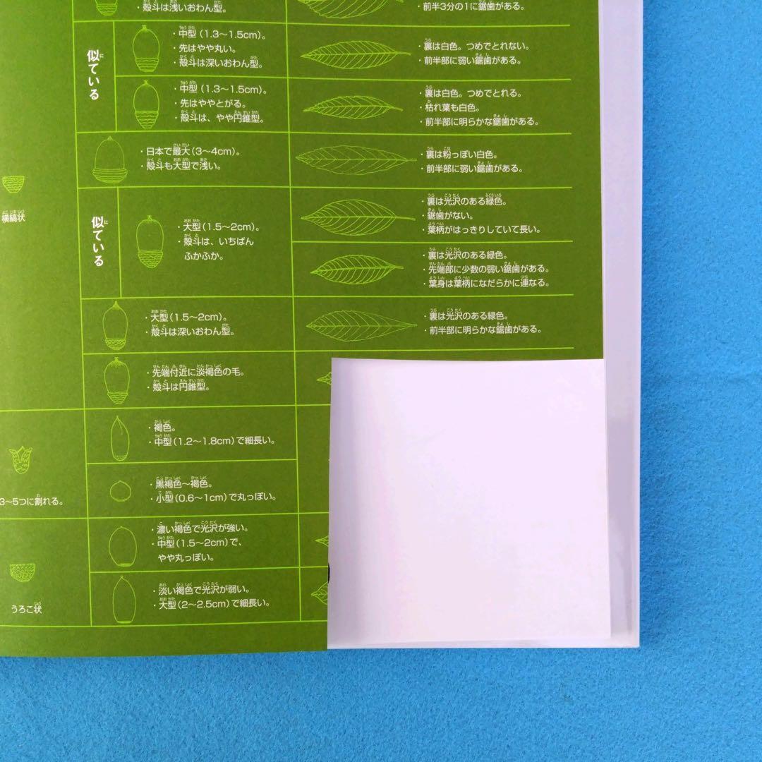 日本どんぐり大図鑑 徳永桂子