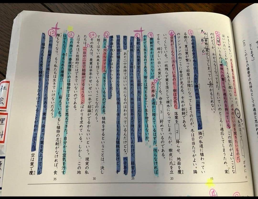 【専用】日能研 5年 2022年 育成テスト後期9回分 冬期講習テキスト&テスト