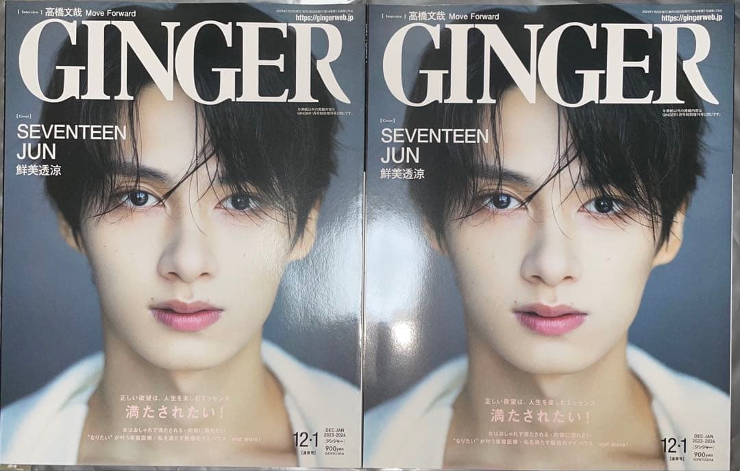 女性情報誌 GINGER SEVENTEEN JUN